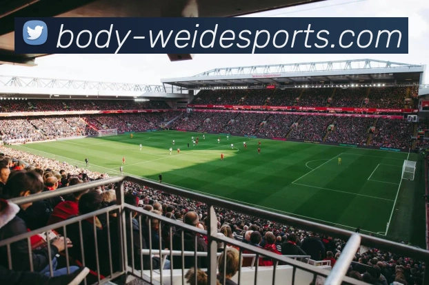 伟德体育平台生态图