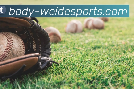 伟德体育全站App